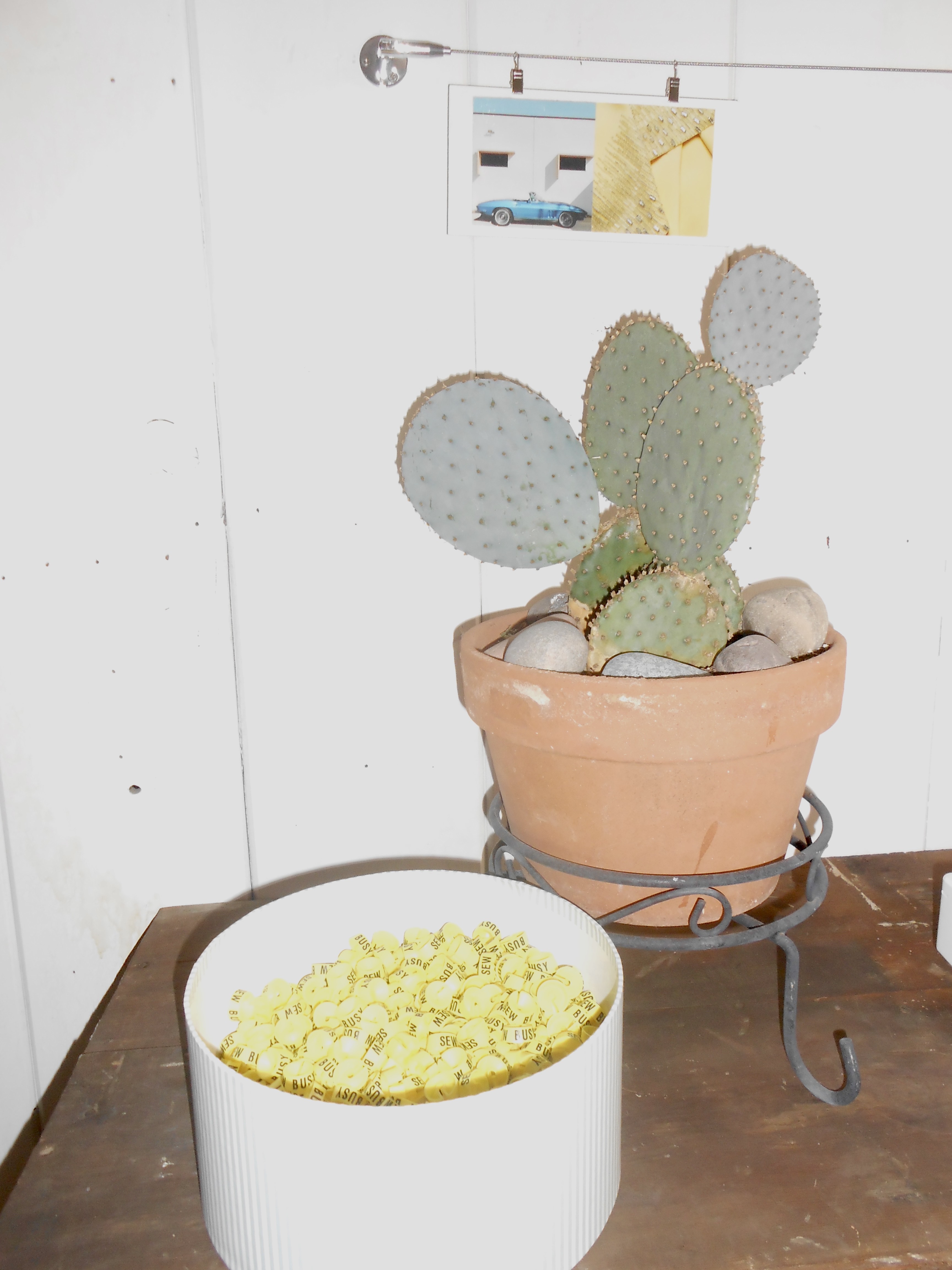 Yosemite National Park